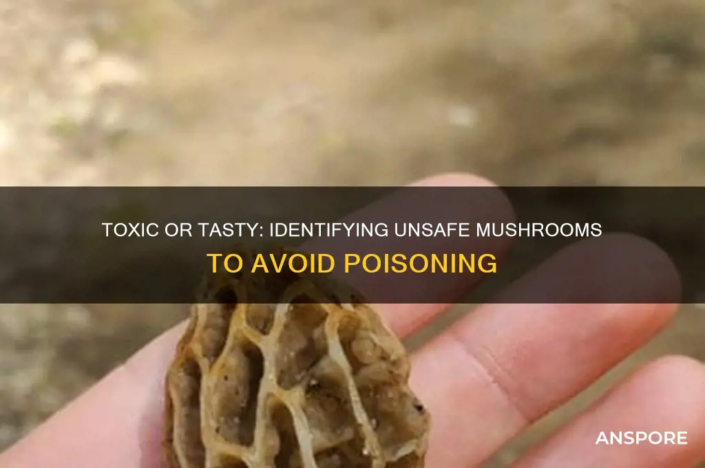 when are mushrooms not safe to eat