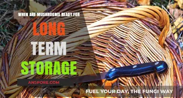 Perfect Timing: When Mushrooms Are Ready for Long-Term Storage