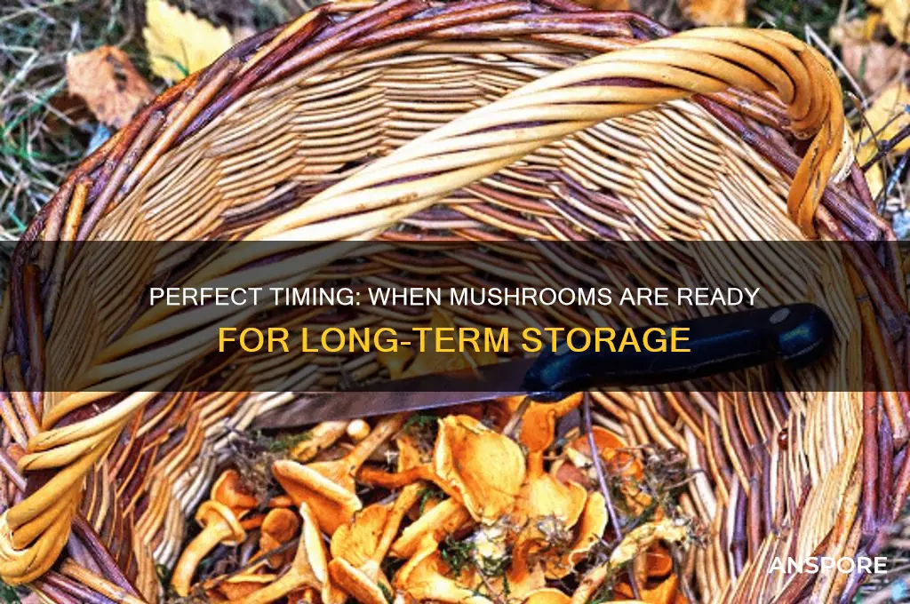 when are mushrooms ready for long term storage