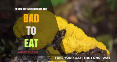 Identifying Spoiled Mushrooms: When to Avoid Eating Them Safely