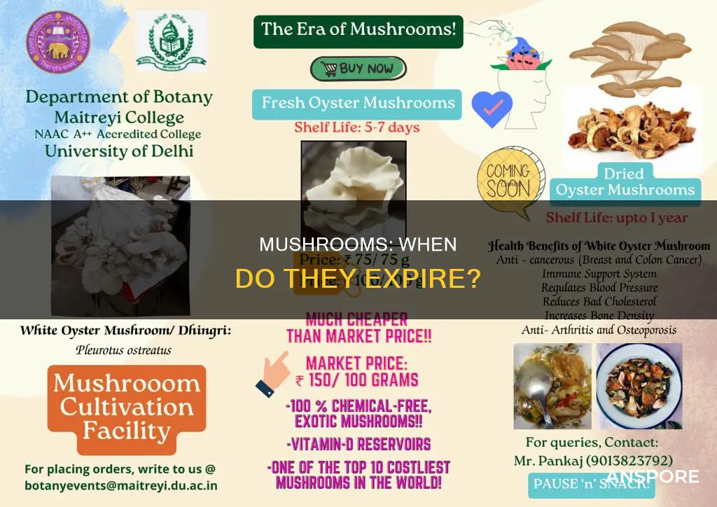 when are mushrooms too old