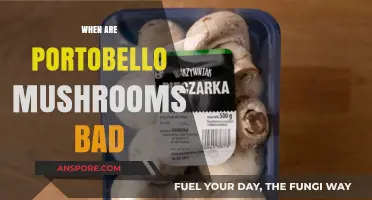 When Portobello Mushrooms Go Bad: Signs, Risks, and Prevention Tips