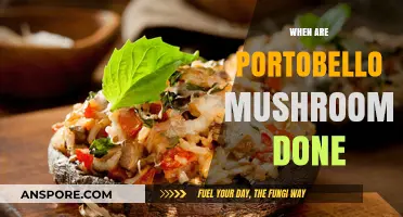 Perfectly Cooked Portobello Mushrooms: Timing and Texture Tips