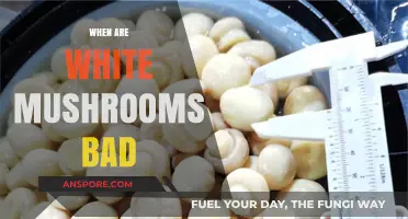 When Are White Mushrooms Bad: Signs, Risks, and Safe Consumption Tips