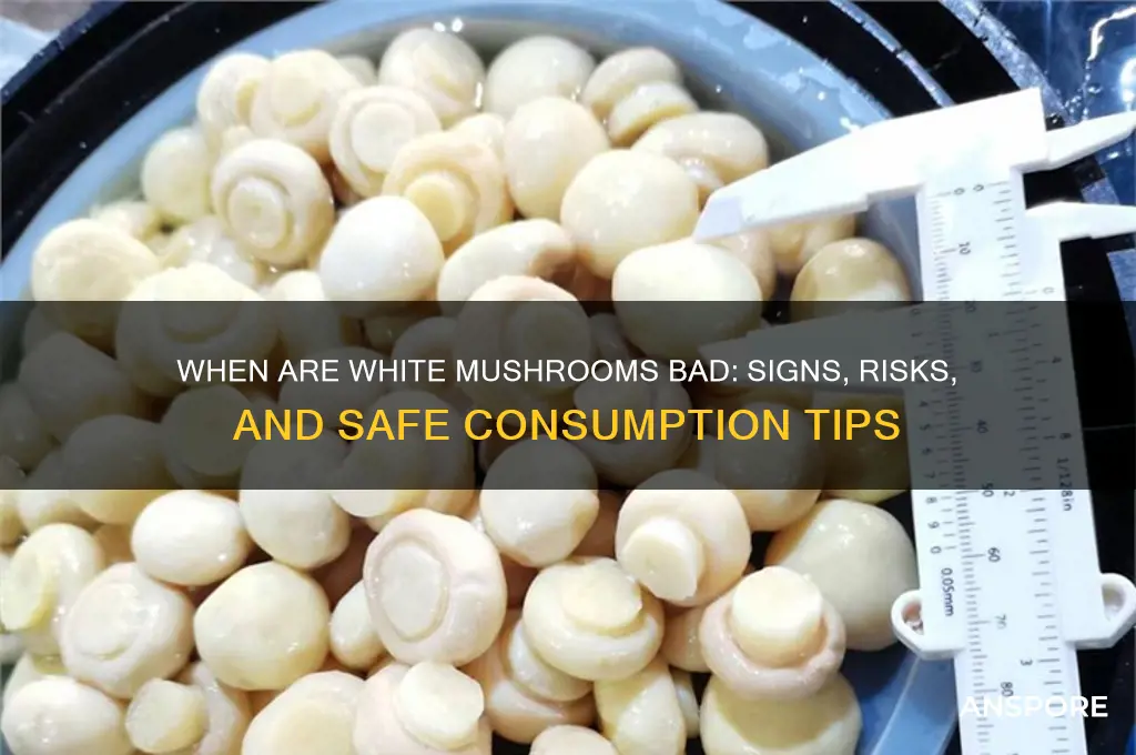 when are white mushrooms bad