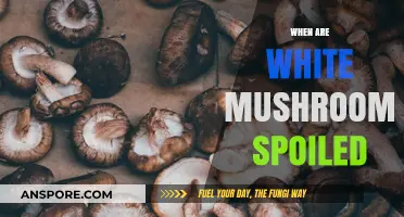 Mushroom Alert: How to Spot Spoiled White Mushrooms