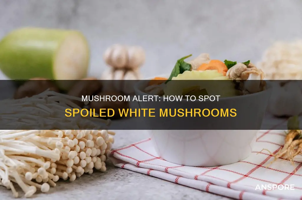 when are white mushrooms spoiled