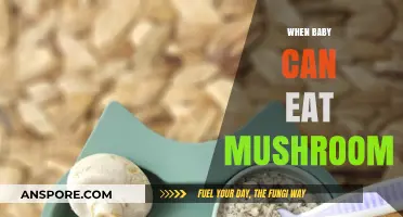 When Can Babies Safely Enjoy Mushrooms in Their Diet?
