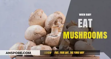 When Can Babies Safely Eat Mushrooms: A Parent's Guide