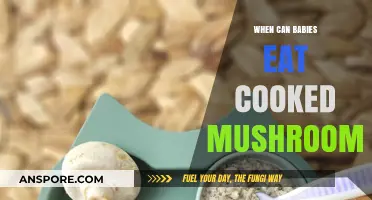 Introducing Cooked Mushrooms to Babies: Safe Age and Tips
