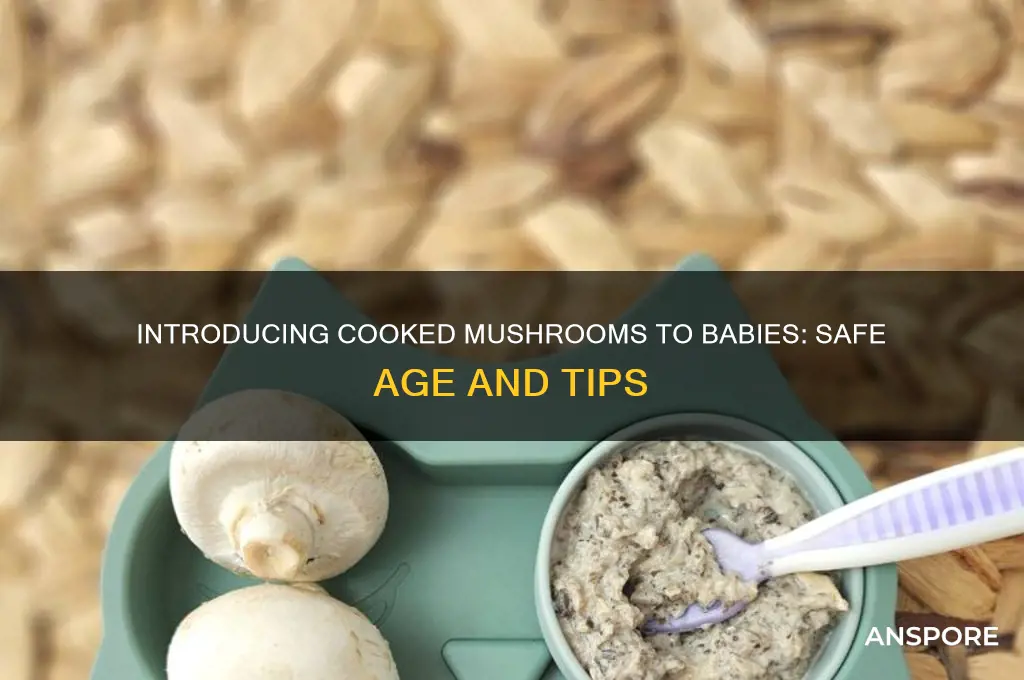 when can babies eat cooked mushrooms