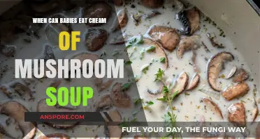 Introducing Cream of Mushroom Soup to Your Baby: A Guide