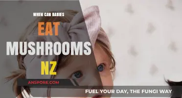 When Can Babies Safely Enjoy Mushrooms in New Zealand?