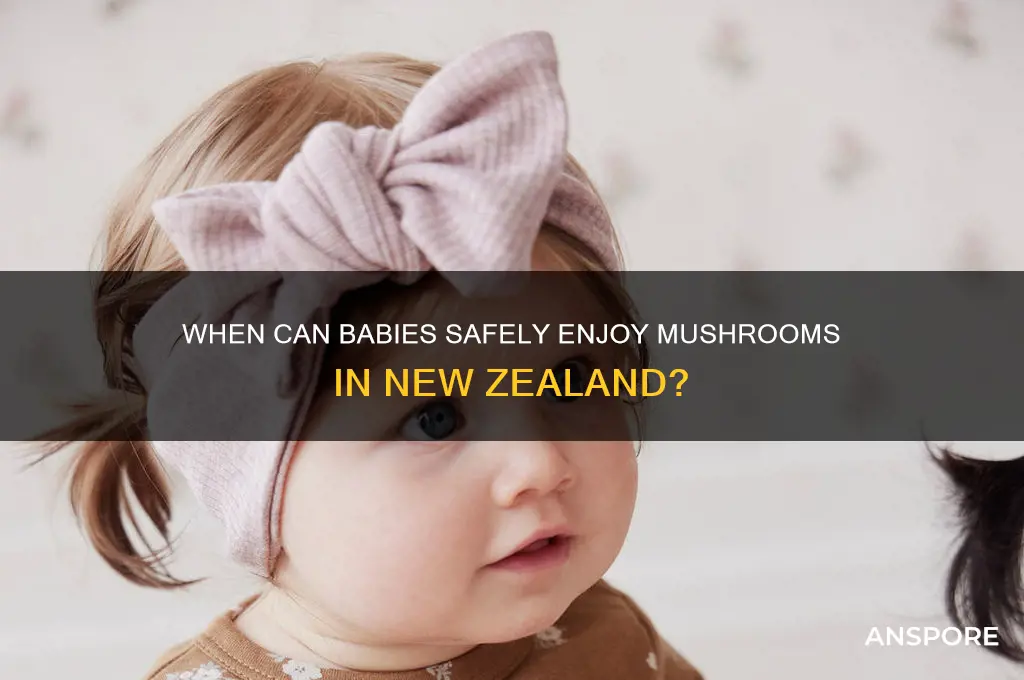 when can babies eat mushrooms nz