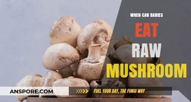 Introducing Raw Mushrooms to Babies: Safe Age and Tips