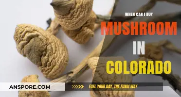 Colorado's Magic Mushroom Market: When and Where to Buy Legally