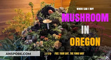 Oregon's Mushroom Market: When and Where to Buy Fresh Fungi