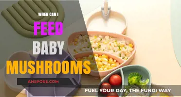 Introducing Mushrooms to Baby: Safe Age and Tips for Feeding