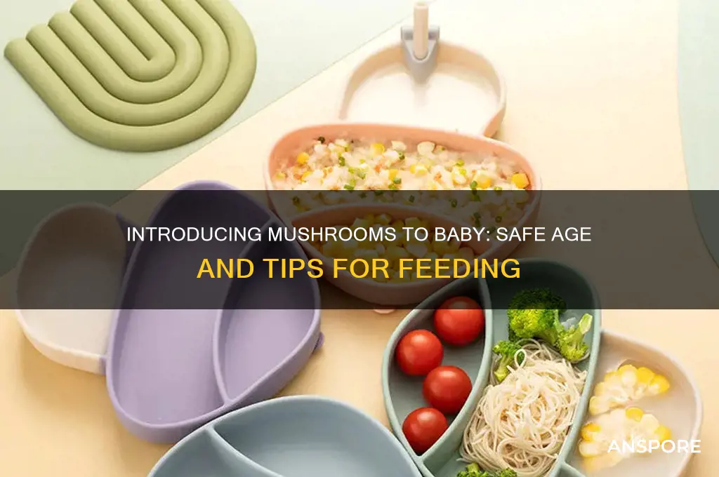 when can i feed baby mushrooms