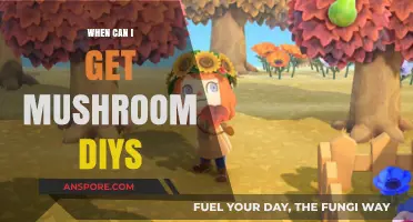 Unlocking Mushroom DIYs: Timing Tips for Animal Crossing Crafters