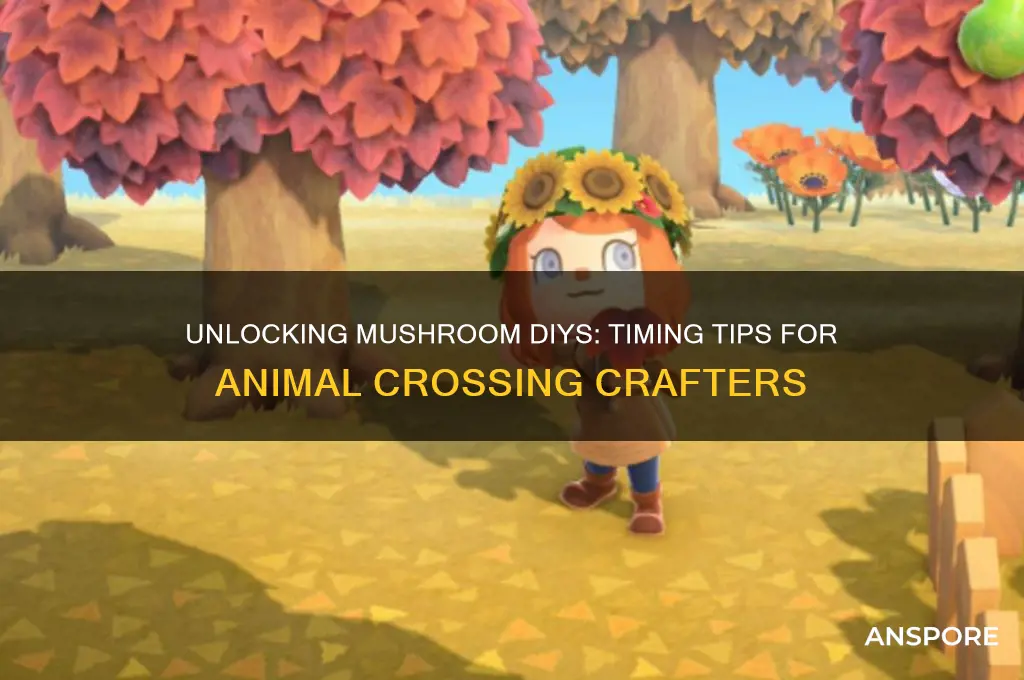 when can i get mushroom diys