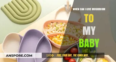 Introducing Mushrooms to Baby: Safe Age and Tips for Parents