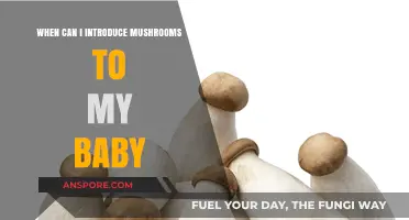 Introducing Mushrooms to Baby: Safe Timing and Nutritional Benefits