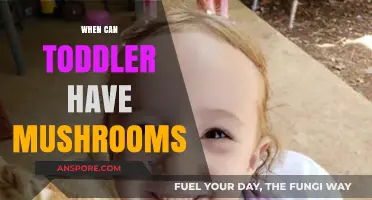 When Can Toddlers Safely Enjoy Mushrooms in Their Diet?