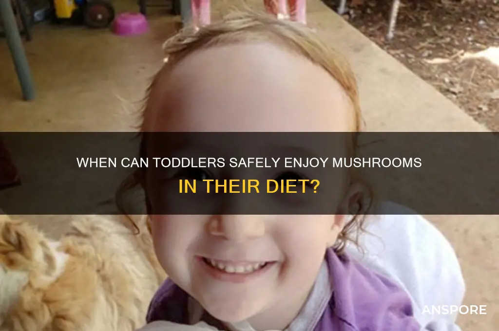 when can toddler have mushrooms