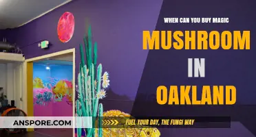 Oakland's Magic Mushroom Legalization: When and Where to Buy