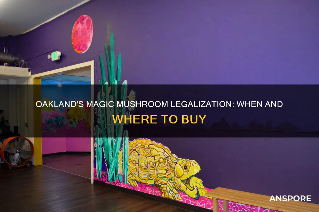 when can you buy magic mushrooms in oakland