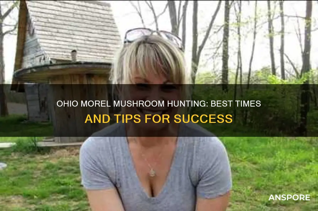 when can you find morel mushrooms in ohio