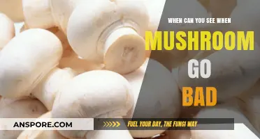 How to Spot Spoiled Mushrooms: Signs of Decay and Freshness