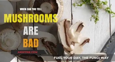 How to Spot Spoiled Mushrooms: Signs of Bad Fungi