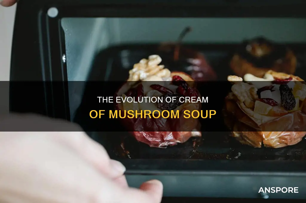 when did cream of mushroom