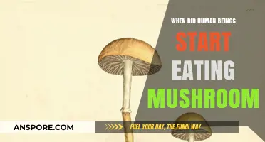 Exploring the Ancient Origins of Mushroom Consumption in Human History