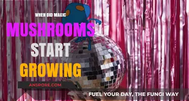 Unveiling the Ancient Origins of Magic Mushrooms' Growth Timeline