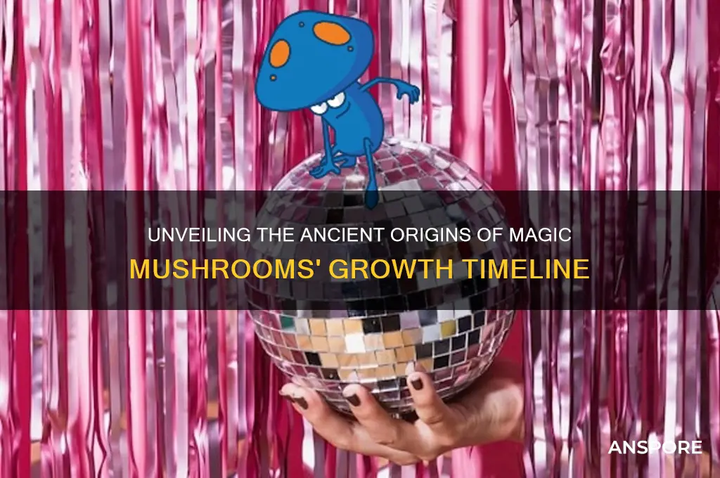 when did magic mushrooms start growing