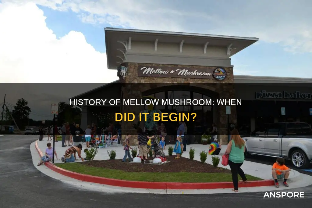 when did mellow mushroom open