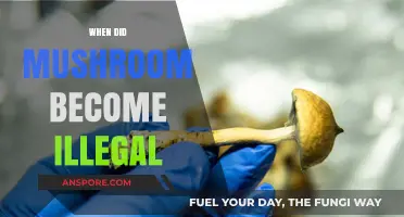 The History of Mushroom's Illegal Status