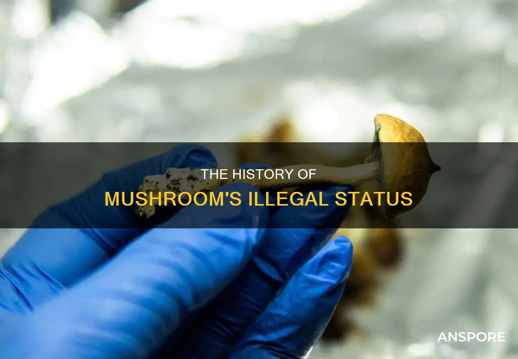 when did mushroom become illegal