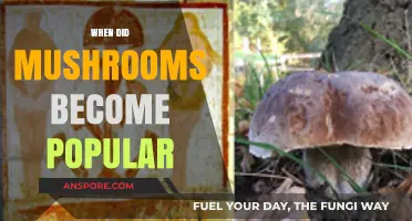 The Rise of Mushrooms: From Obscurity to Culinary Fame