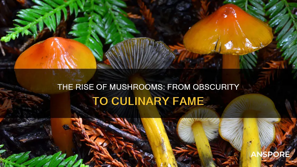 when did mushrooms become popular
