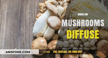 Mushrooms: Ancient Diffusion, Ancient Medicine