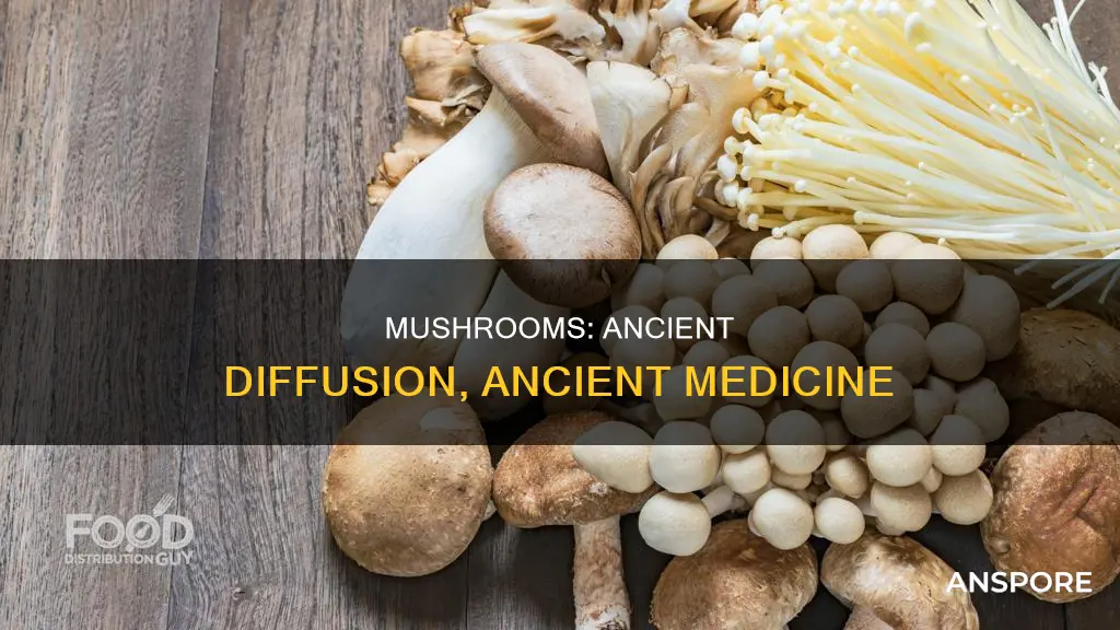 when did mushrooms diffuse