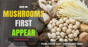 The Ancient Origins of Mushrooms