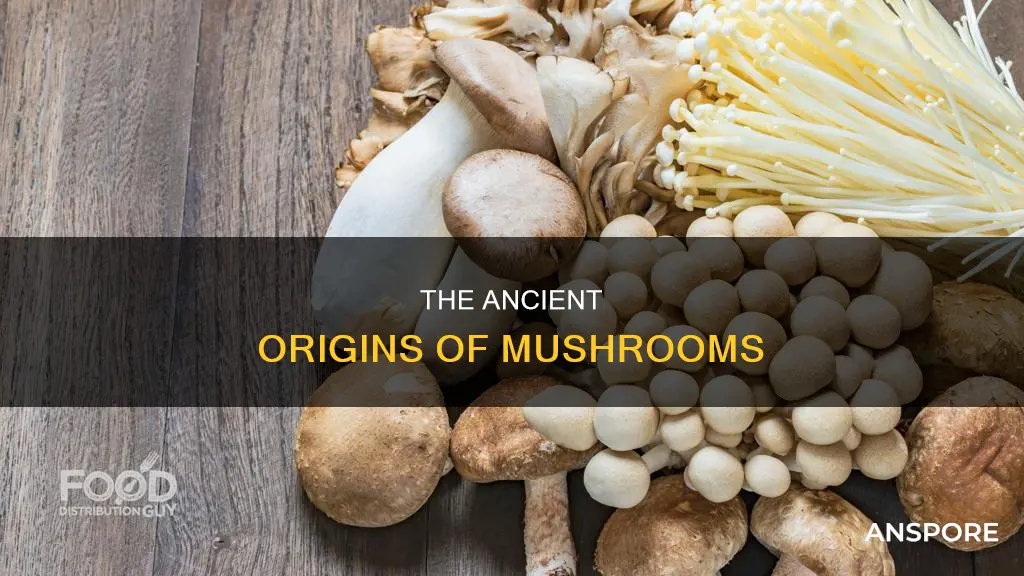 when did mushrooms first appear