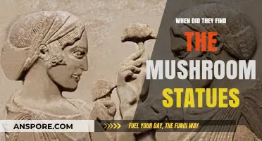 Unveiling the Mystery: Discovery Date of Ancient Mushroom Statues