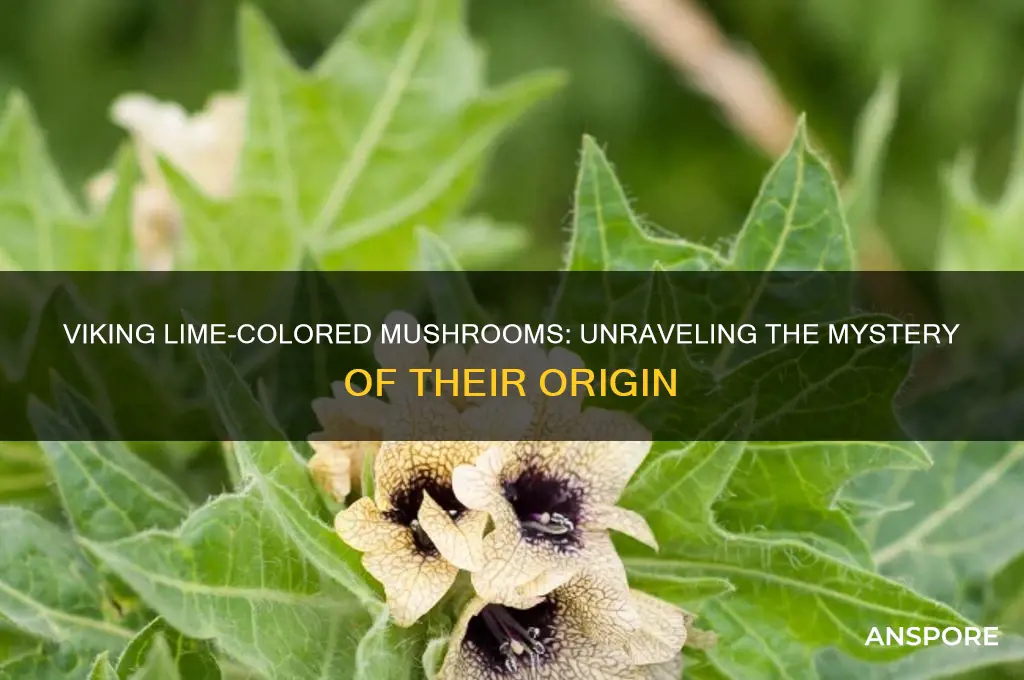 when did viking make lime colored mushrooms