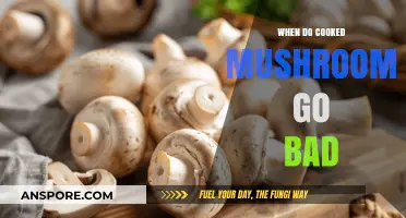 How Long Do Cooked Mushrooms Last? Signs of Spoilage